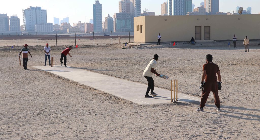 Cricket 2