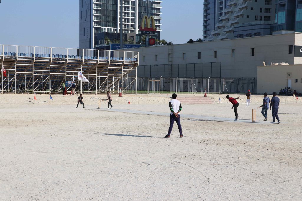 Cricket 3
